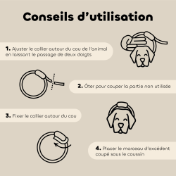 6 Colliers insectifuges - Petit Chien