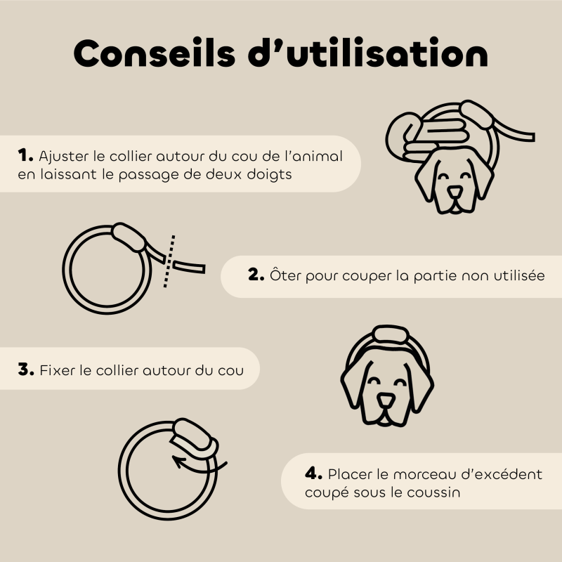 Lot de 6 colliers anti-insectes pour chiot et petit chien – Format économique conseils d'utilisation
