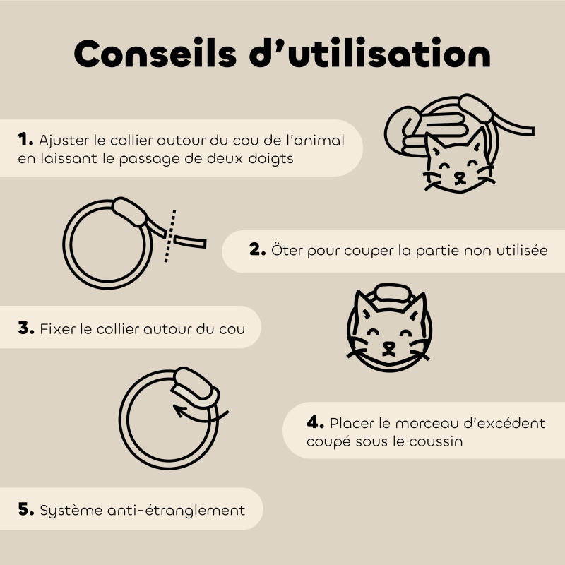 Lot de 6 colliers anti-insectes pour chat – Format économique conseils d'utilisation