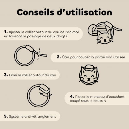 Lot de 6 colliers anti-insectes pour chat – Format économique conseils d'utilisation
