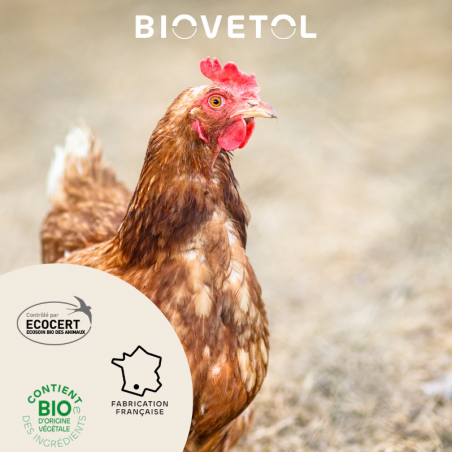 Pipettes Anti-Poux et Anti-Acariens pour Poules – Format économique engagement