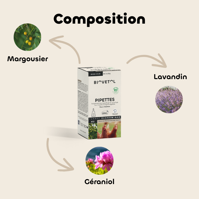 Pipettes Anti-Poux et Anti-Acariens pour Poules – Format économique composition