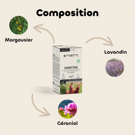 Pipettes Anti-Poux et Anti-Acariens pour Poules – Format économique composition
