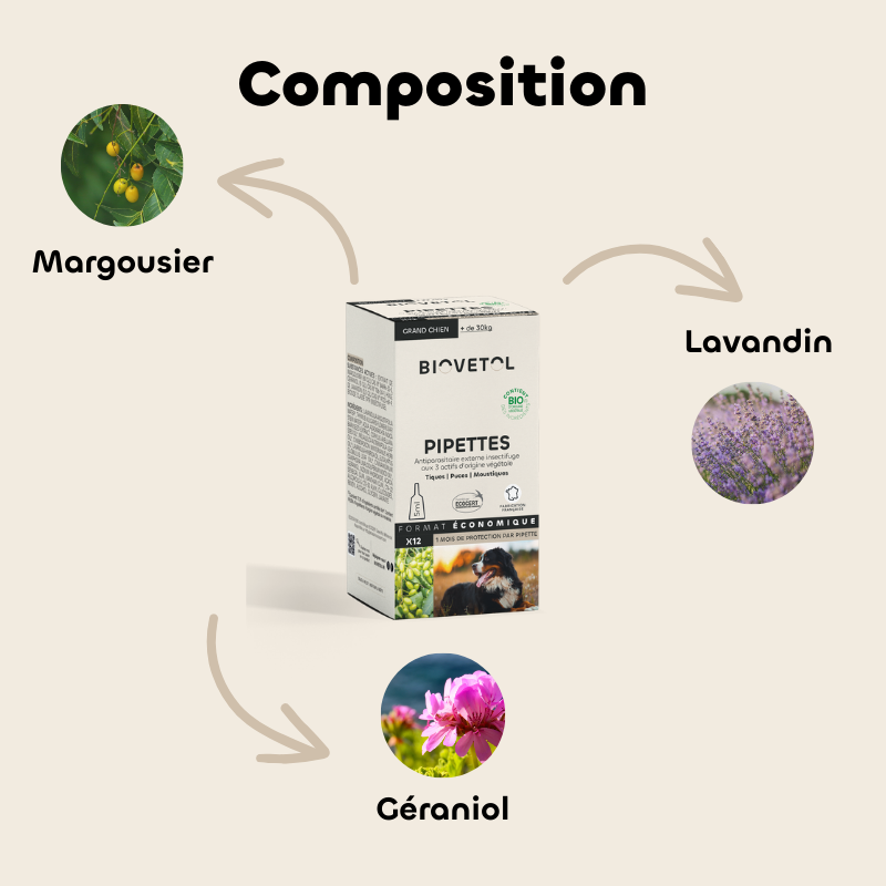 Pipettes anti-insectes Grand Chien +30 kg bio – 12 pipettes | Format économique composition