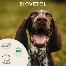 12 Pipettes insectifuges - Moyen Chien Bio