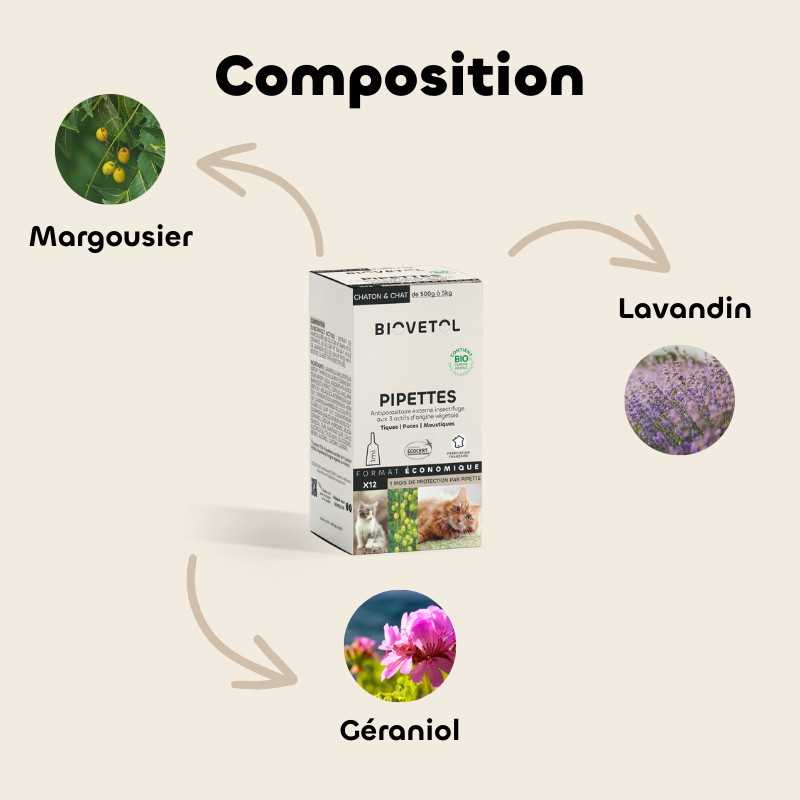 Pipettes anti-insectes Chat & Chaton bio – 12 pipettes | Format économique composition