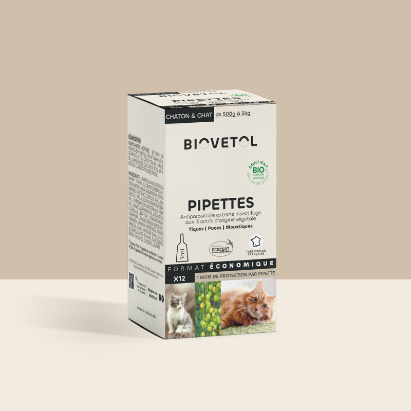 Pipettes anti-insectes Chat & Chaton bio – 12 pipettes | Format économique
