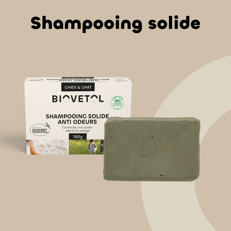 Shampooing solide anti-odeurs bio