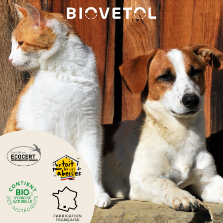 Shampooing Solide Anti-Odeurs pour Chien et Chat bio engagement