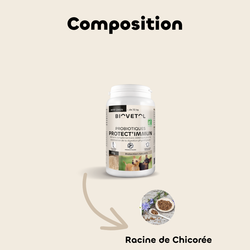 Probiotiques PROTECT'IMMUN chien -10kg bio