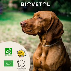 Probiotiques DETOX'PLUS chien +10kg bio