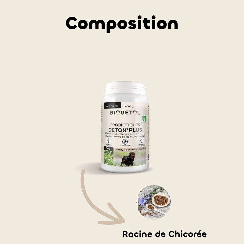 Probiotiques DETOX'PLUS chien -10kg bio