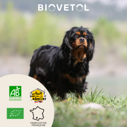 Probiotiques DETOX'PLUS chien -10kg bio