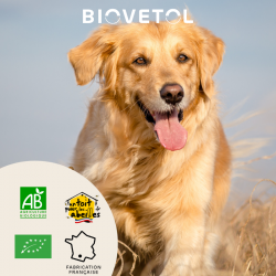 Probiotiques DETOX'PLUS chien -10kg bio
