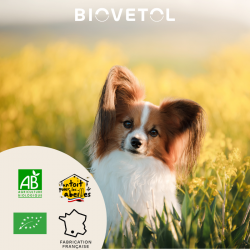 Probiotiques STIMUL'INTESTIN chien -10kg bio