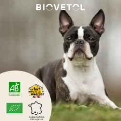 Probiotiques REGUL’TRANSIT chien -10kg bio