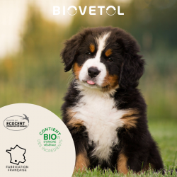 6 Pipettes insectifuges - Chiot / Petit Chien bio