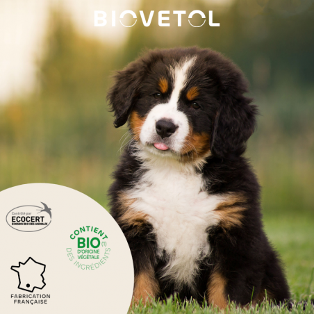 Pipettes anti-insectes Chiot & Petit Chien bio – 6 pipettes engagement
