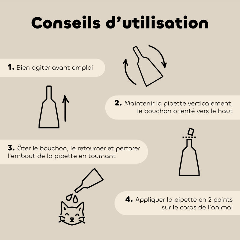 Pipettes anti-insectes Chaton et Chat bio – 6 pipettes bienfaits