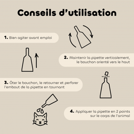 Pipettes anti-insectes Chaton et Chat bio – 6 pipettes bienfaits