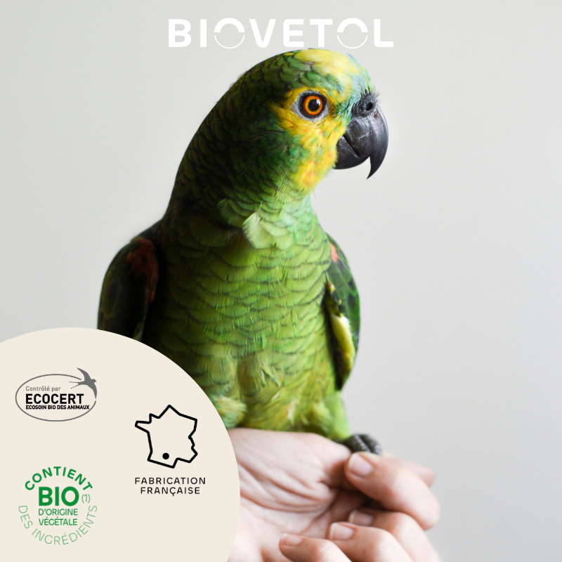 Poudre anti-poux oiseaux bio