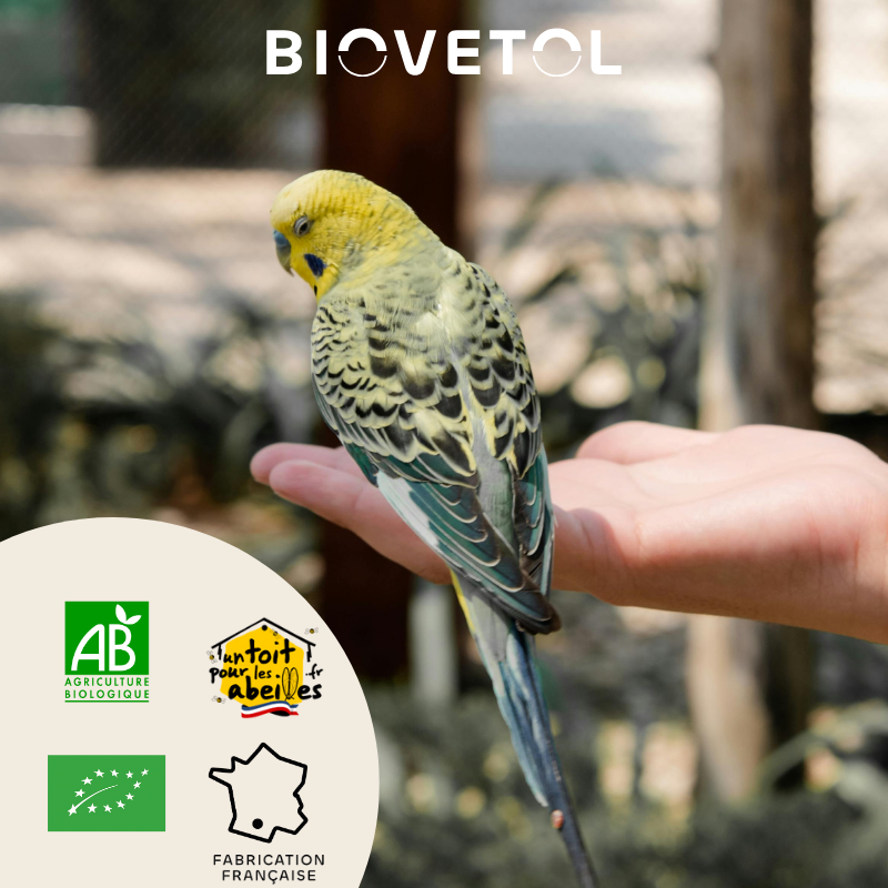 Poudre Bien-Être Intestinal pour Oiseaux bio engagement