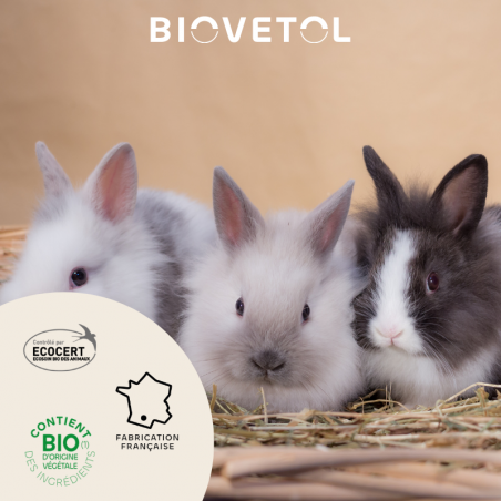 Poudre anti-insectes rongeurs et petits mammifères bio engagement