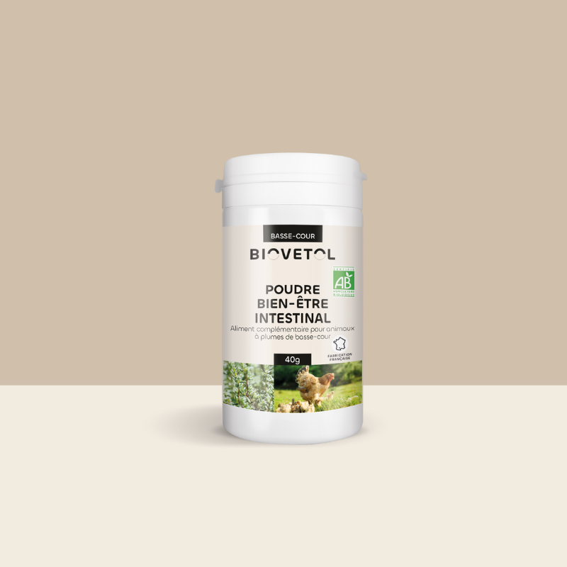 Poudre Bien-Être Intestinal pour Animaux de Basse-Cour