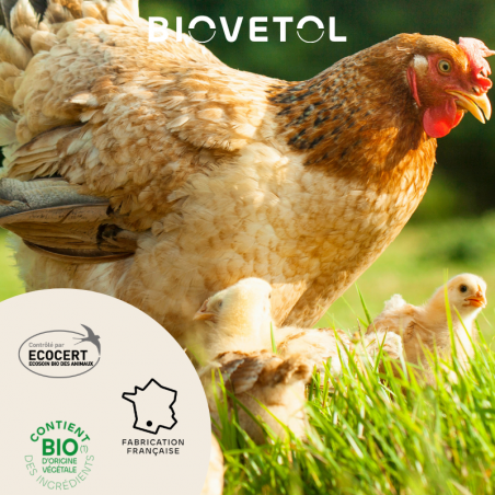 Poudre Anti-Poux et Anti-Acariens pour Poules bio engagement