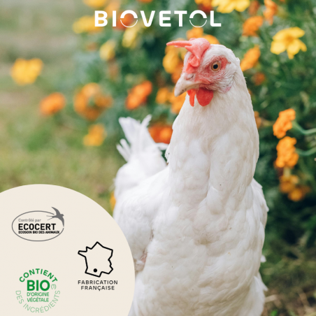 Lotion Anti-Poux et Anti-Acariens pour Poules bio engagement