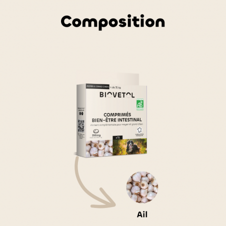 Comprimés Bien-être Intestinal - Moyen & Grand chien bio