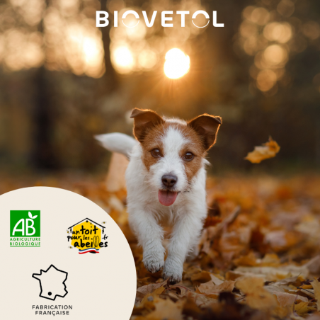 Comprimés Bien-être Intestinal - Chiot & Petit chien bio