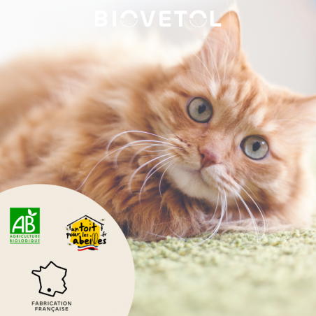 Comprimés Bien-être Intestinal - Chaton & Chat bio