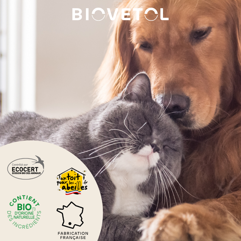 Shampooing Sec Anti-Odeurs pour Chien et Chat – Mousse Sans Rinçage bio engagement