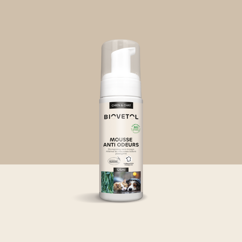 Shampooing Sec Anti-Odeurs pour Chien et Chat – Mousse Sans Rinçage bio