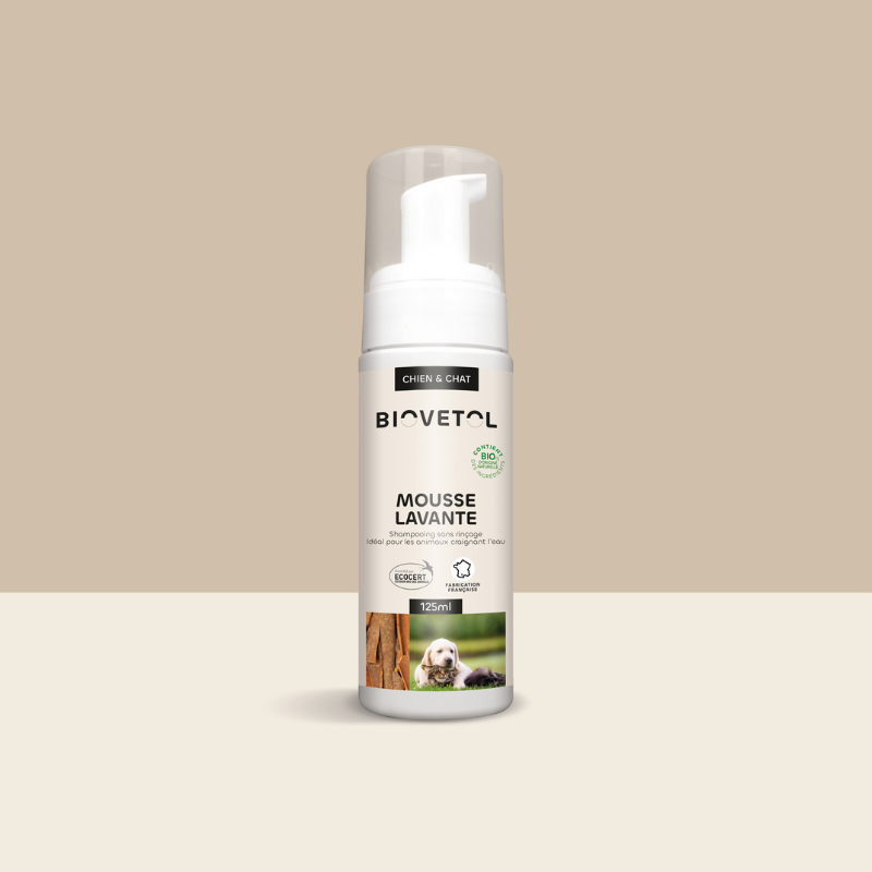 Mousse Lavante pour Chien et Chat – Shampooing Sec Sans Rinçage bio