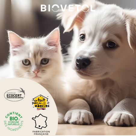 Shampooing Chiot et Chaton – Spéciale Junior bio engagement