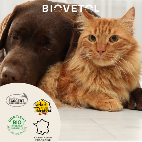 Dermo'Gel Apaisant pour Chien et Chat bio – Peau irritée et démangeaisons engagement