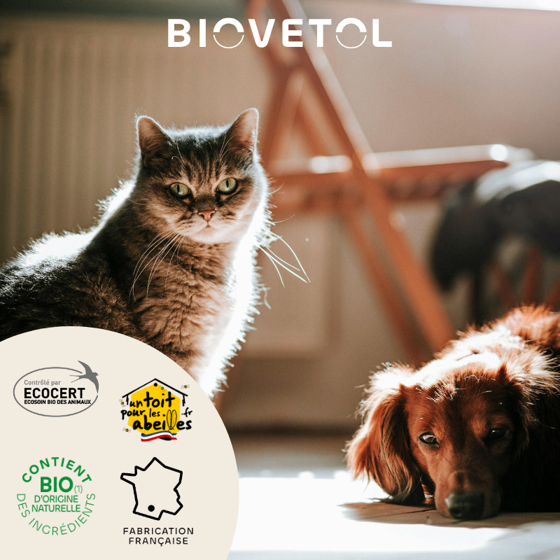 Lotion Nettoyante Contour des Yeux pour Chien et Chat engagement