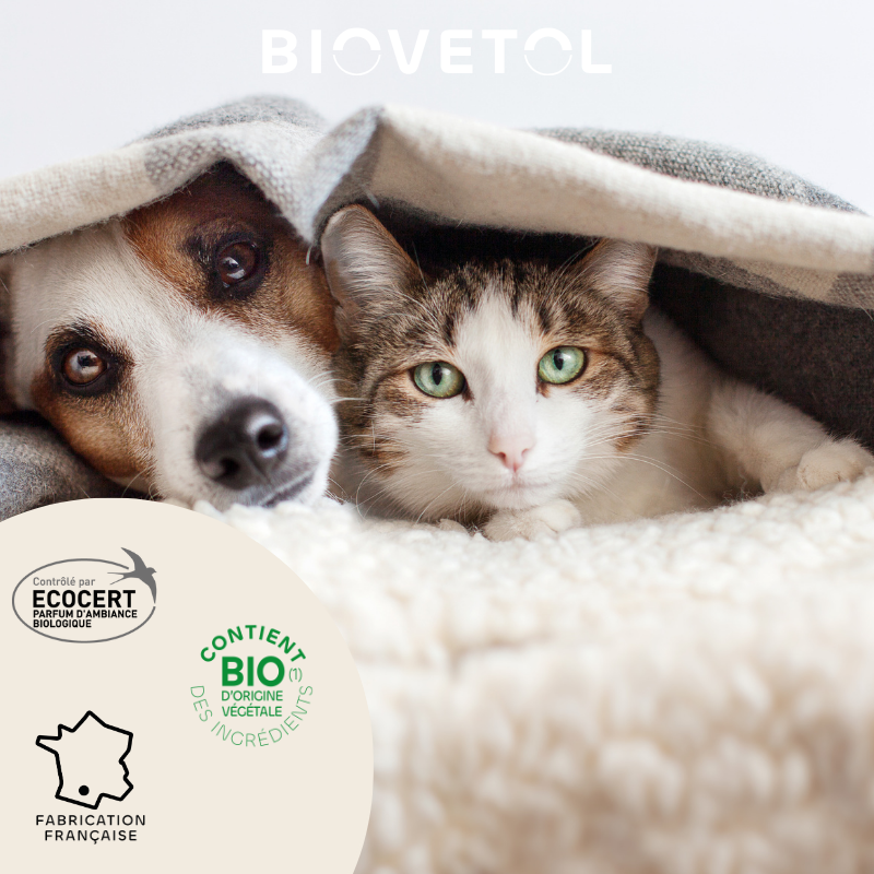 Spray Habitat anti-parasites pour la maison bio engagement