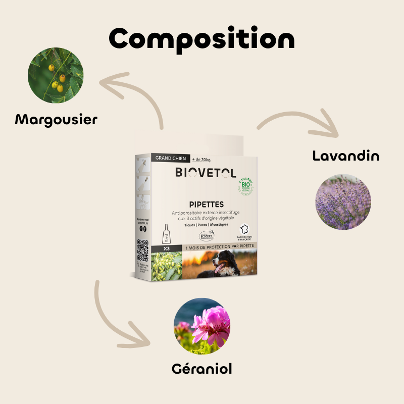 Pipettes anti-insectes pour grand chien bio composition