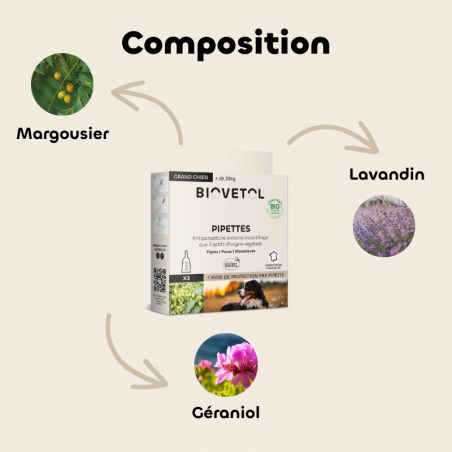 Pipettes anti-insectes pour grand chien bio composition