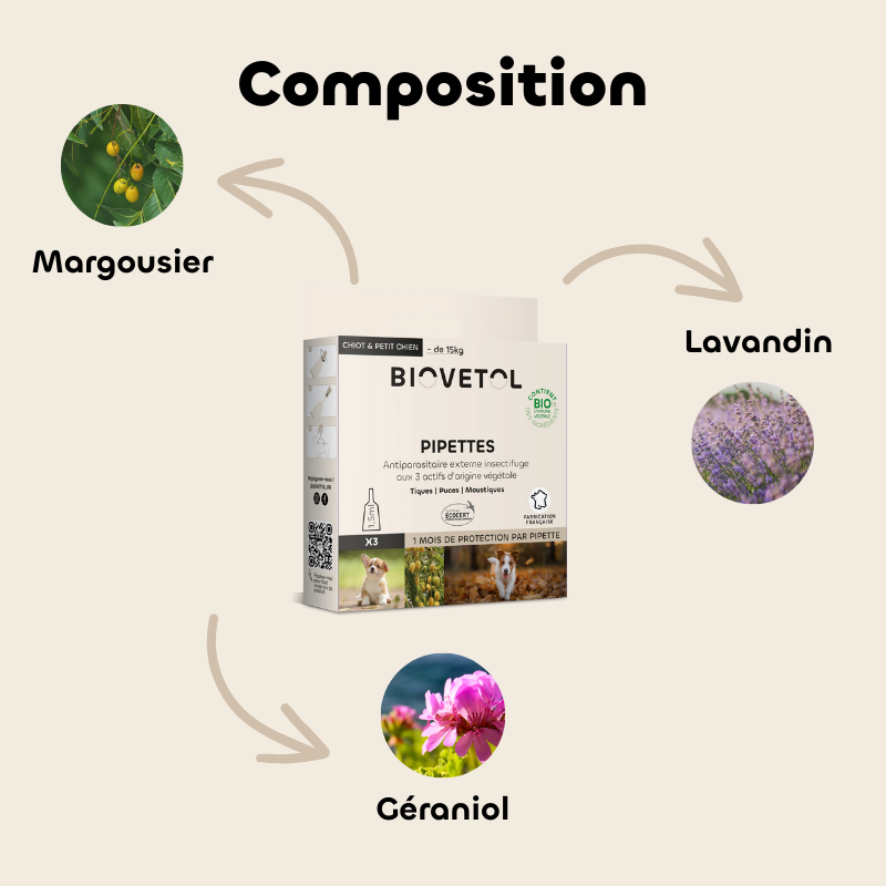 Pipettes anti-insectes pour chiot et petit chien bio composition