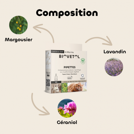 Pipettes anti-insectes pour chat et chaton bio composition