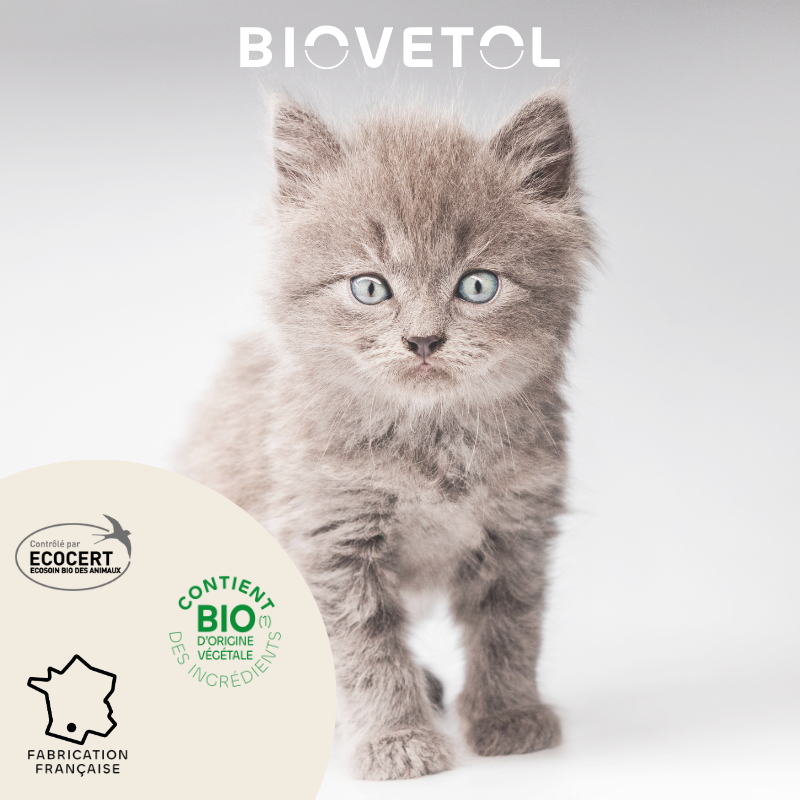 Pipettes anti-insectes pour chat et chaton bio engagement