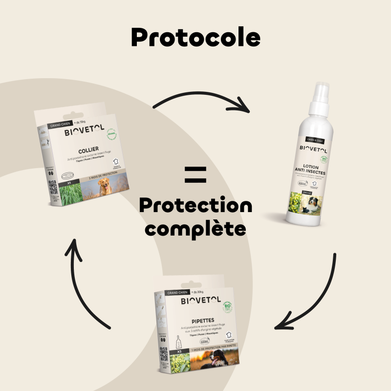 Collier anti-insectes grand chien routine