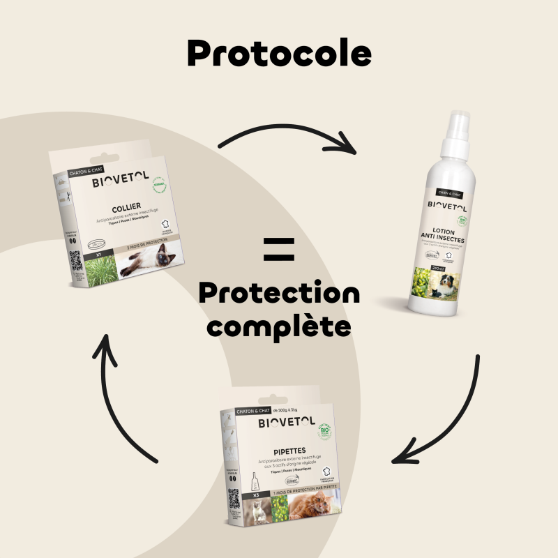 Collier anti-insectes pour chat routine