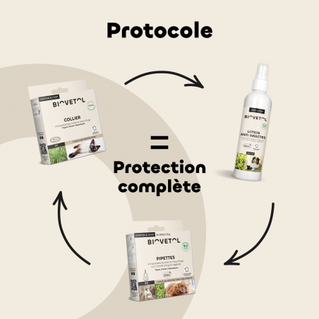 Collier anti-insectes pour chat routine