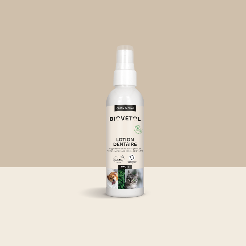 Lotion Dentaire pour Chien et Chat – Anti-tartre et mauvaise haleine bio