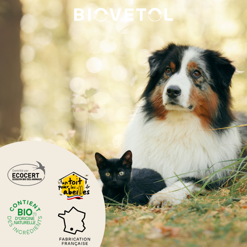 Shampooing Anti-Démangeaisons pour Chien et Chat bio engagement